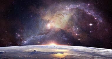 恒星パランの探索