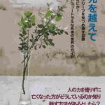 「生と死を越えて」の表紙写真
