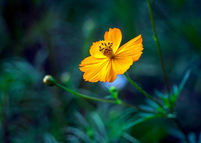 BM：LEVEL１ワークショップ【死後探索】合宿型＠長野